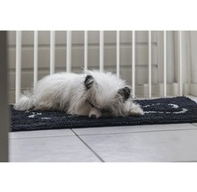 Kleiner Hund schläft auf einer Fußmatte vor einem Schutzgitter