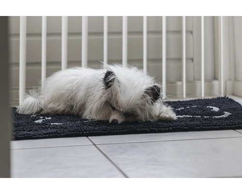 Kleiner Hund schläft auf einer Fußmatte vor einem Schutzgitter