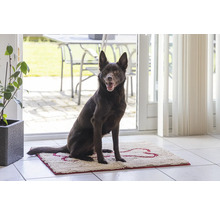 Chien marron assis sur un paillasson avec motif d''os devant une porte de patio.