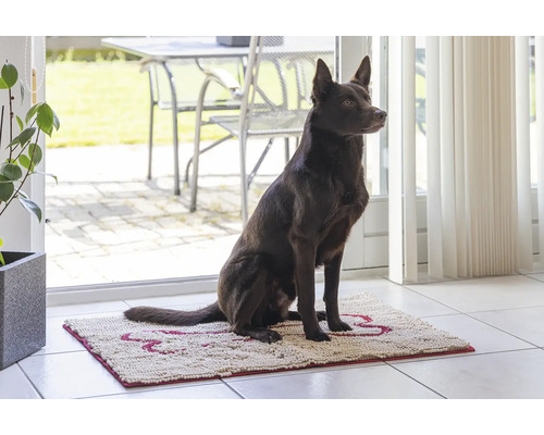 Ein brauner Hund sitzt auf einer Schmutzfangmatte mit Pfotenabdruck.