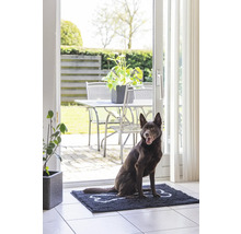 Un chien est assis sur un paillasson avec un motif d''os devant une porte de patio ouverte