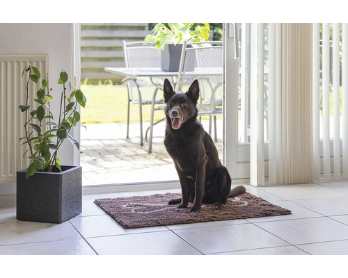 Brauner Hund sitzt auf einer Schmutzfangmatte im Innenbereich vor einer Terrassentür