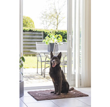 Hund sitzt auf einer Fußmatte vor einer Terrassentür mit Gartenblick