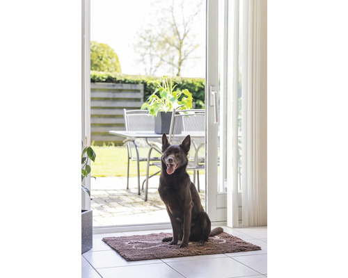 Hund sitzt auf einer Fußmatte vor einer Terrassentür mit Gartenblick