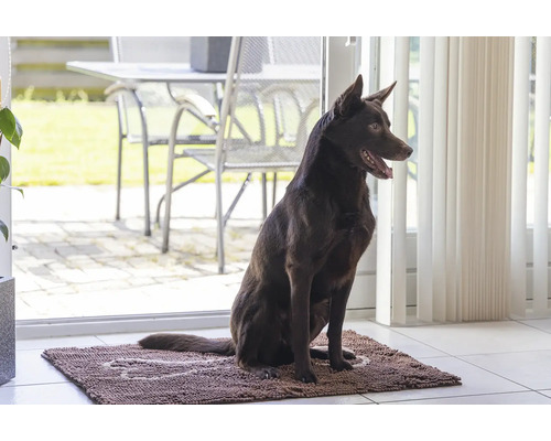 Hund sitzt auf einer Fußmatte im Innenbereich