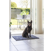 Un chien est assis sur un paillasson d''intérieur devant une porte de patio.