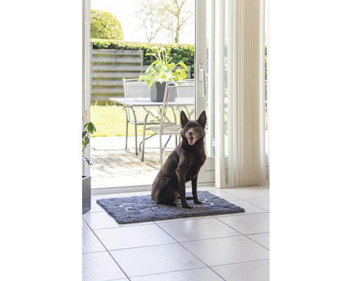 Ein Hund sitzt auf einer Schmutzfangmatte im Innenbereich vor einer Terrassentür.