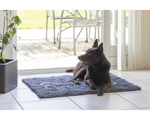 Ein brauner Hund liegt auf einer Fußmatte mit Knochenmuster im Innenbereich vor einer Terrassentür.