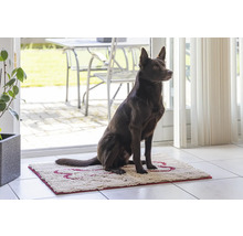 Ein Hund sitzt auf einer Fußmatte im Innenbereich