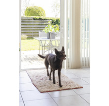 Un chien se tient sur un tapis devant une porte-fenêtre ouverte
