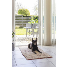 Un chien est couché sur un tapis de bain devant une porte-fenêtre.