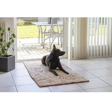 Un chien foncé est couché sur un tapis clair devant une porte-fenêtre.