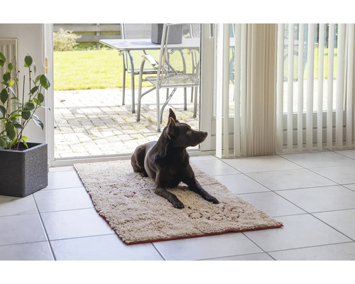 Ein dunkler Hund liegt auf einer hellen Matte vor einer Terrassentür.