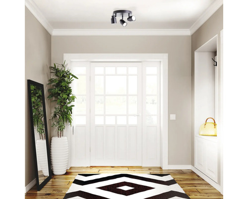 Flur mit Deckenleuchte, Spiegel, Pflanze, Teppich und weißer Tür