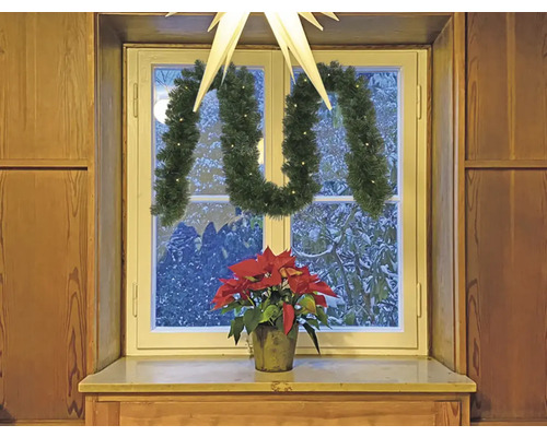 Fenêtre décorée avec étoile de Noël, guirlande et poinsettia