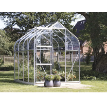 Serre avec plantes dans le jardin