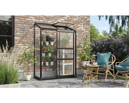 Gewächshaus aus Metall und Kunststoff mit Pflanzen auf einer Terrasse