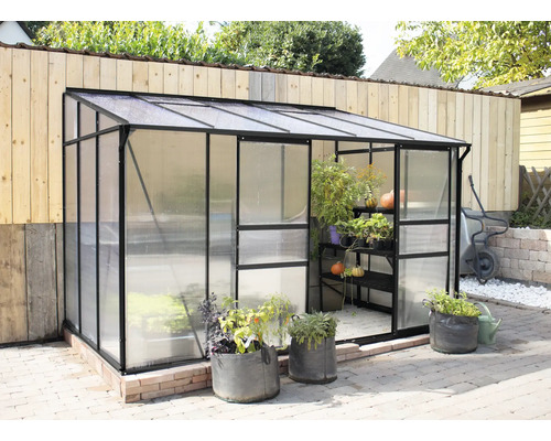 Serre avec plantes dans le jardin
