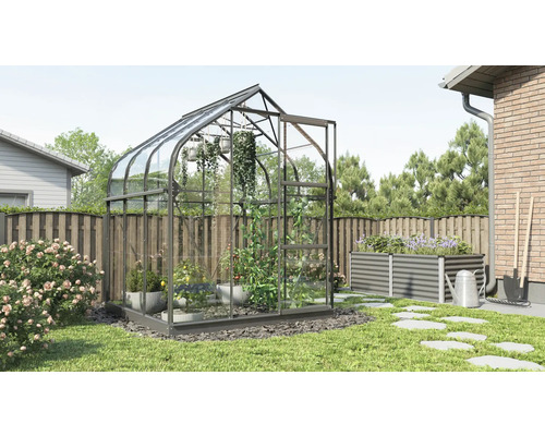 Serre avec plantes dans le jardin