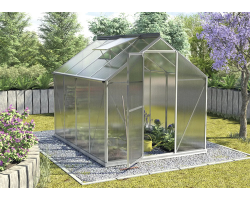 Gewächshaus im Garten mit geöffneter Tür und Dachfenster.