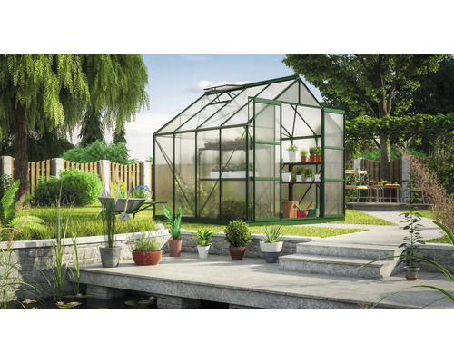 Serre avec étagères dans un jardin avec bassin