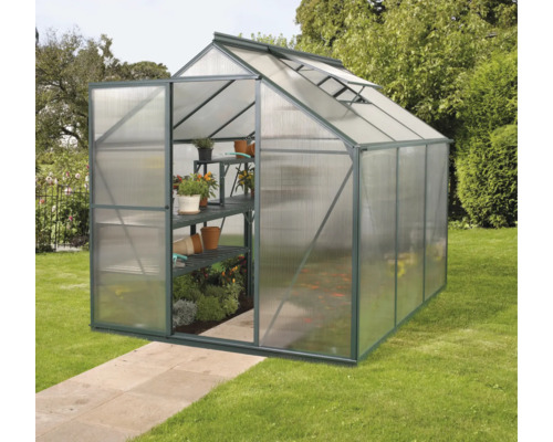 Gewächshaus mit Regalen, Pflanzen und geöffneter Tür im Garten