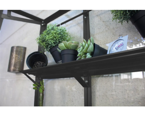 Regal mit Dekorationsobjekten wie Pflanzen und Thermometer