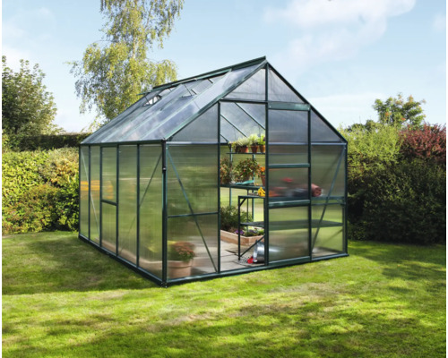 Serre de jardin avec étagères et plantes