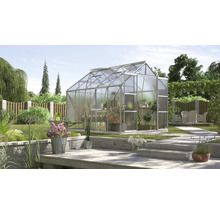 Gewächshaus im Garten mit Pflanzenregalen