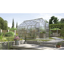 Serre de jardin avec plantes et accessoires de jardinage.