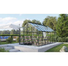 Gewächshaus Vitavia Meridian 2 11500 Einscheibensicherheitsglas 3 mm 257x445 cm smaragd