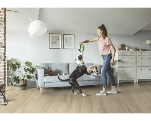 Frau spielt mit Hunden im Wohnzimmer mit Bodenbelag, Sofa und Stauraum