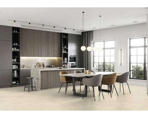 Heller Speiseraum mit Esstisch, Stühlen, Einbauküche und großen Fenstern.