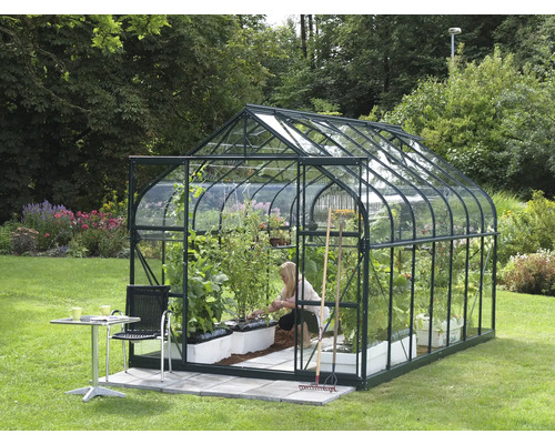 Serre en verre avec plantes dans le jardin