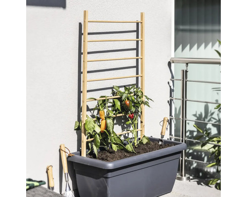 Jardinière surélevée avec support à plantes grimpantes en bois et légumes ainsi que des outils de jardinage