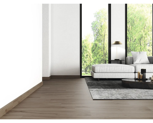 Espace de vie lumineux avec parquet, canapé, tapis et fenêtres