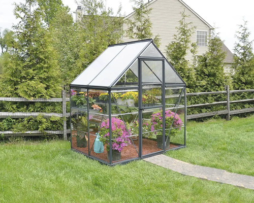 Serre avec plantes dans le jardin