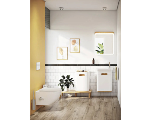 Modernes Badezimmer mit Wand-WC, Waschtisch und Spiegel