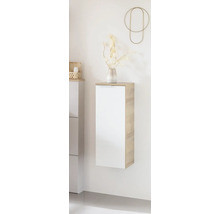 Meuble haut de salle de bains avec une porte