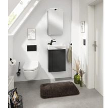 Spiegelschrank FACKELMANN SBC rechts 40 x 15,3 x 68 cm schwarz matt 1-türig LED IP 20