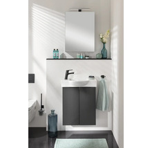 Spiegelschrank FACKELMANN SBC links 50 x 15,3 x 68 cm schwarz matt 1-türig LED IP 20