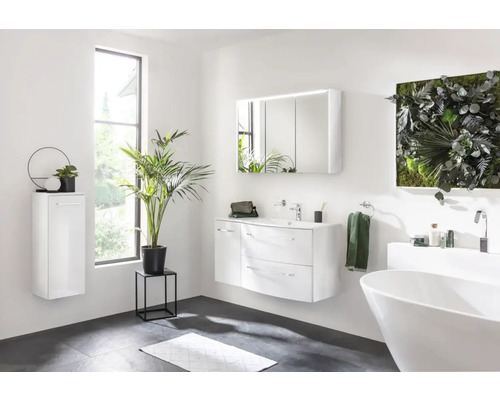 Salle de bains moderne avec lavabo, armoire de toilette, baignoire et plantes