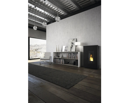 Salon avec poêle à granulés, étagère et tapis sur parquet