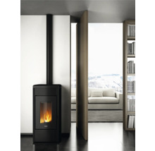Poêle à pellets FreePoint Duke acier noir 14 kW
