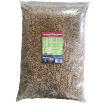Sac de larves de mouches soldat noires pour l''alimentation animale
