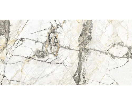 Feinsteinzeug Wand- und Bodenfliesen Calabria Golden Ice glänzend poliert 60 x 120 x 0,85 cm