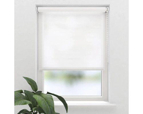 SOLUNA Tageslichtrollo T19 transparent weiß 50x190 cm