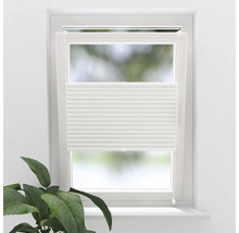 Fenêtre avec store plissé pour la protection visuelle et solaire