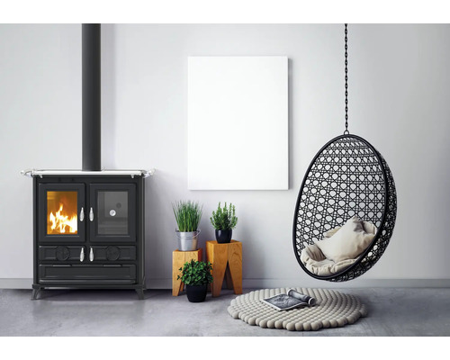 Wohnzimmer mit Kaminofen, Hängekorb und Pflanzen