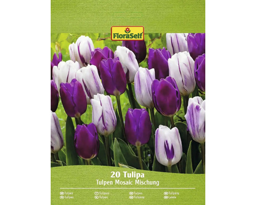 Bulbe Tulipe FloraSelf ' mélange Constance ' 20 pièces